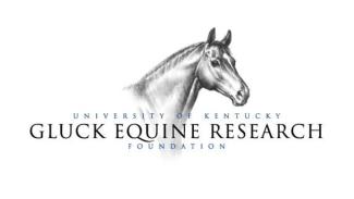 Gluck Equine Research